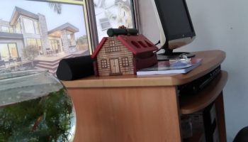 office (11)